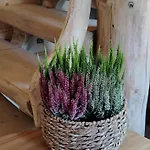Gorska Osada Sleboda Zasadne