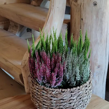 Gorska Osada Sleboda Zasadne