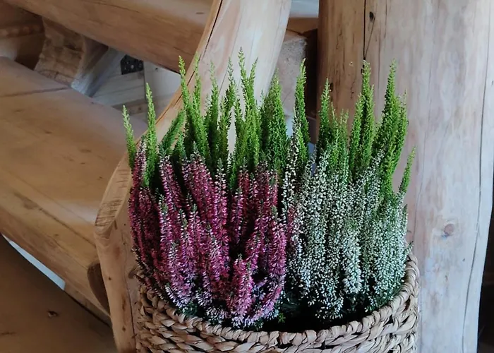 Gorska Osada Sleboda Zasadne